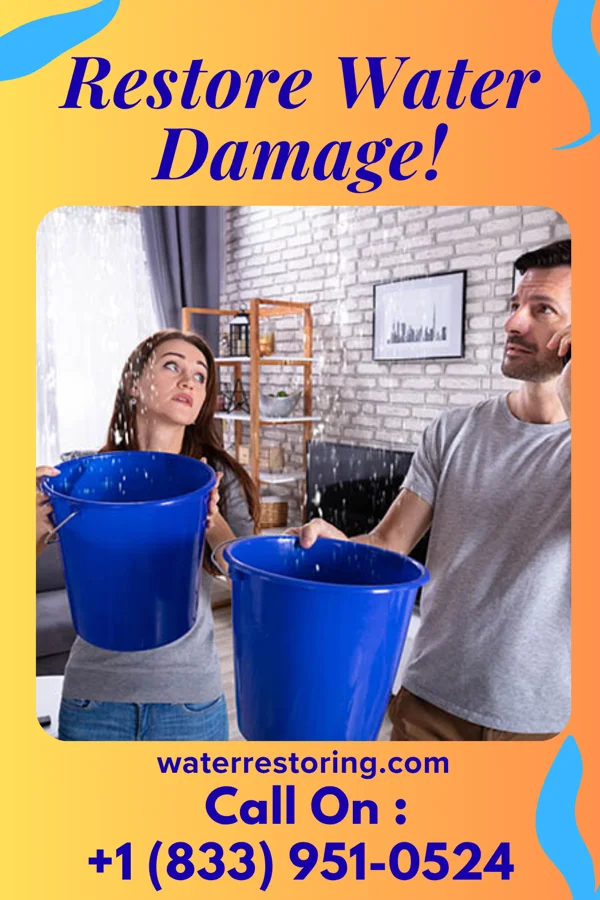 water restoration Patriot Water Removal & Sons Jamestown West