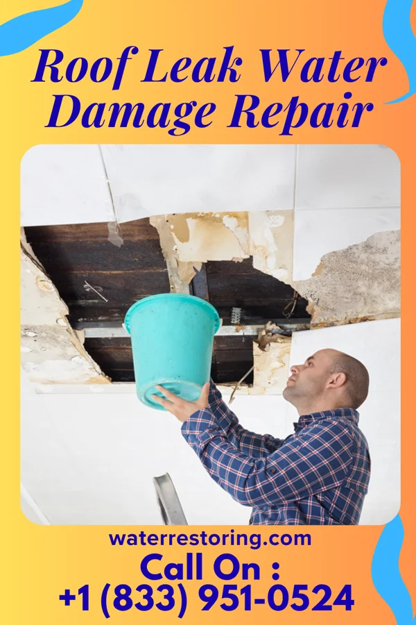 Roof Leak Water Damage Repair in Jamestown West, NY