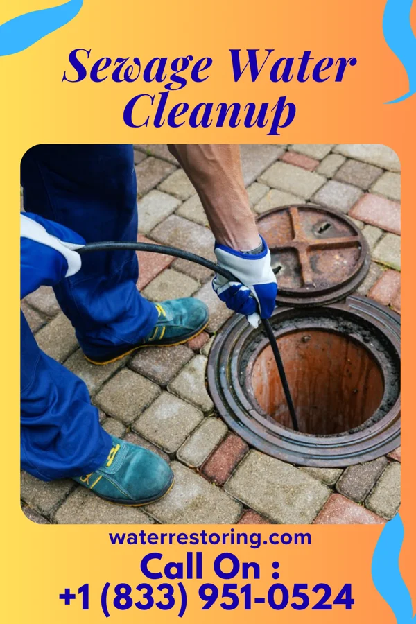 Sewage Water Cleanup in Jamestown West, NY