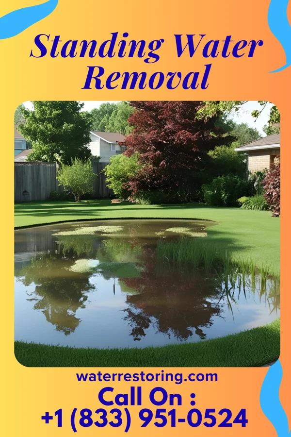 Standing Water Removal in Jamestown West, NY